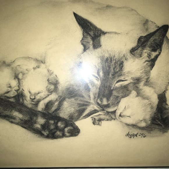 Meet your Posher, Dyan - Picture 4 of 11